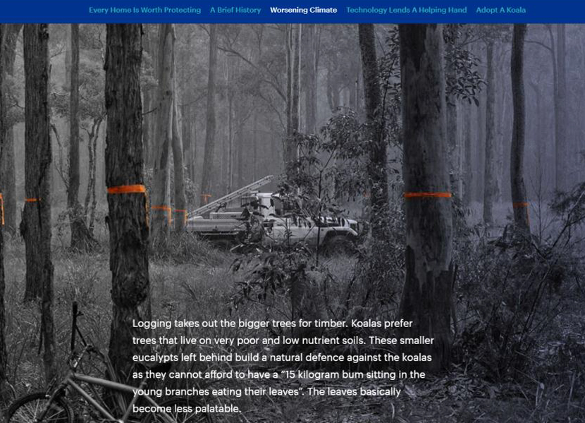 NRMA removes false forestry claims from ad promotion